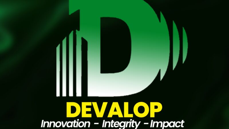 Logo for DEVALOP Consultancy Session